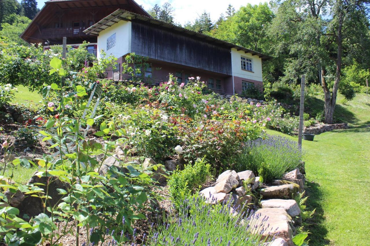 Nordrach The Moosbach Garden旅馆 外观 照片