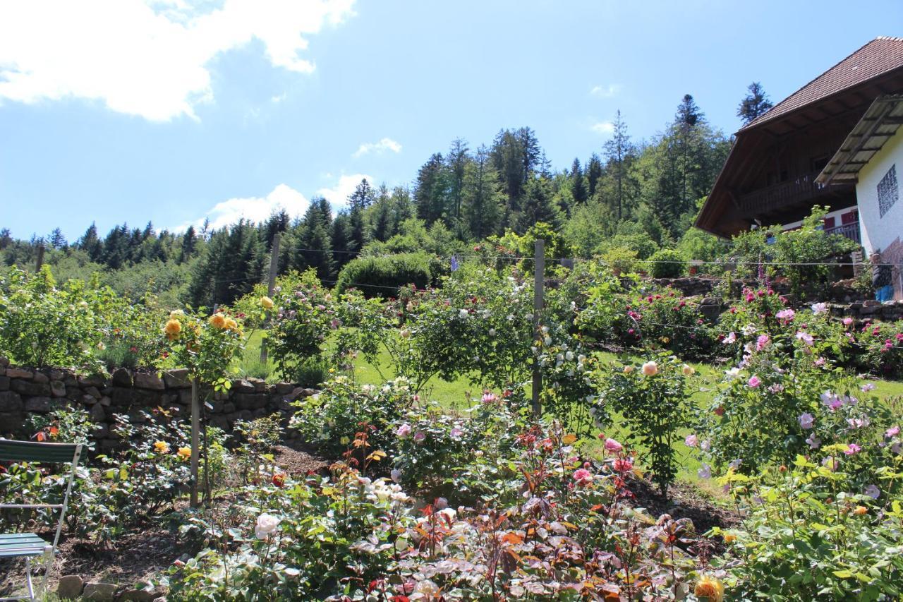 Nordrach The Moosbach Garden旅馆 外观 照片