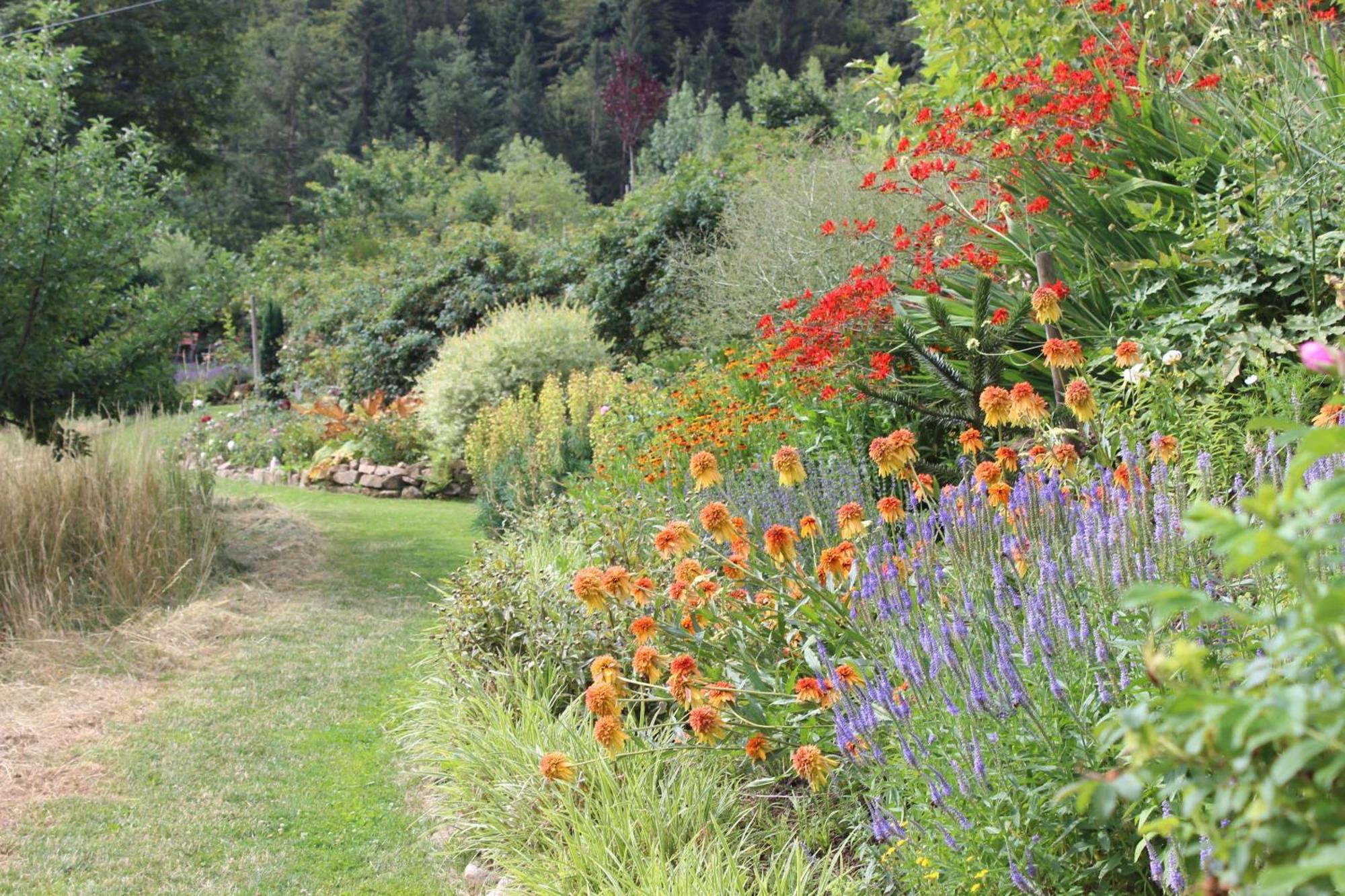 Nordrach The Moosbach Garden旅馆 外观 照片
