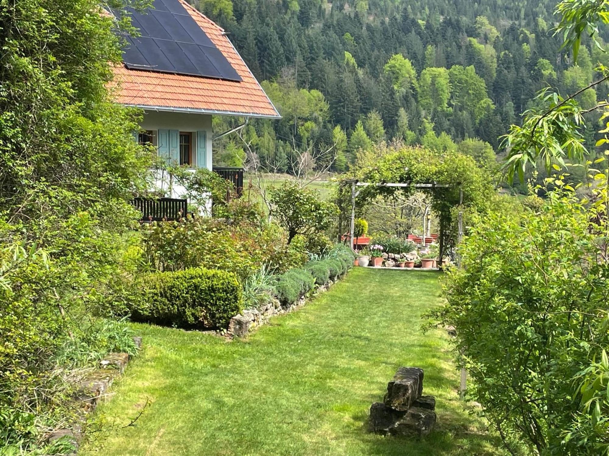 Nordrach The Moosbach Garden旅馆 外观 照片