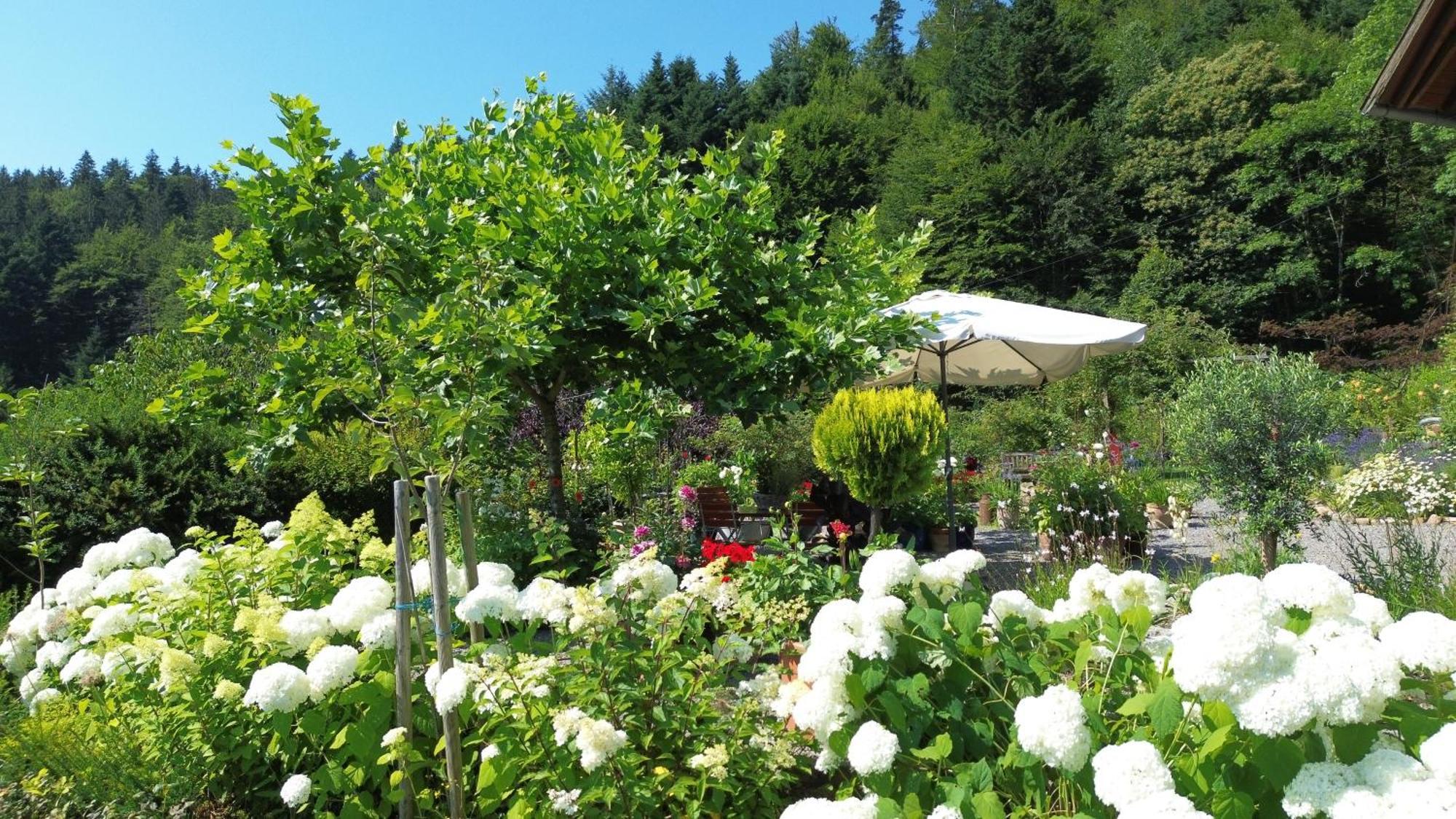 Nordrach The Moosbach Garden旅馆 外观 照片